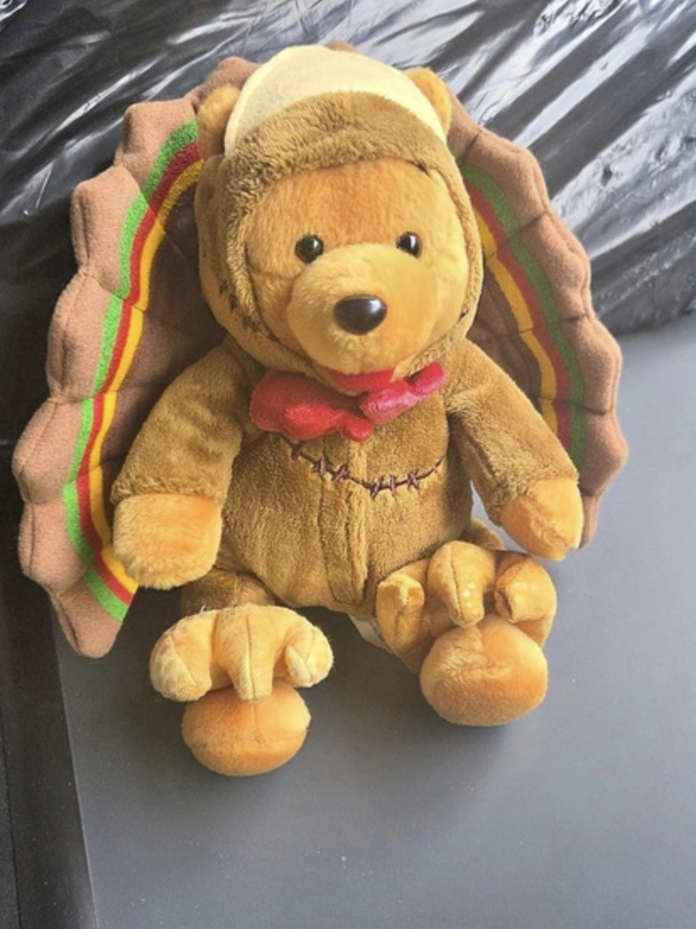 Disney Disneyland Resort Winnie the Pooh Turkey Thanksgiving Plush Brown &
